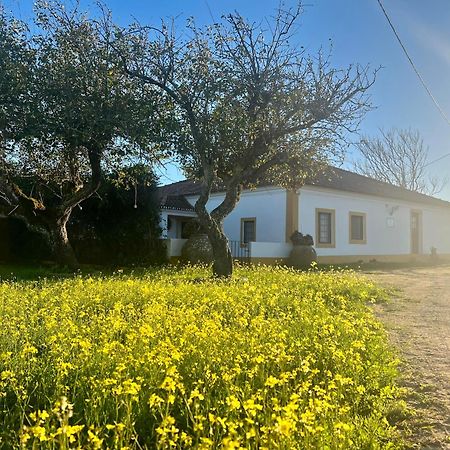 Qta Casa Seleiras - Guest House Evora Bagian luar foto