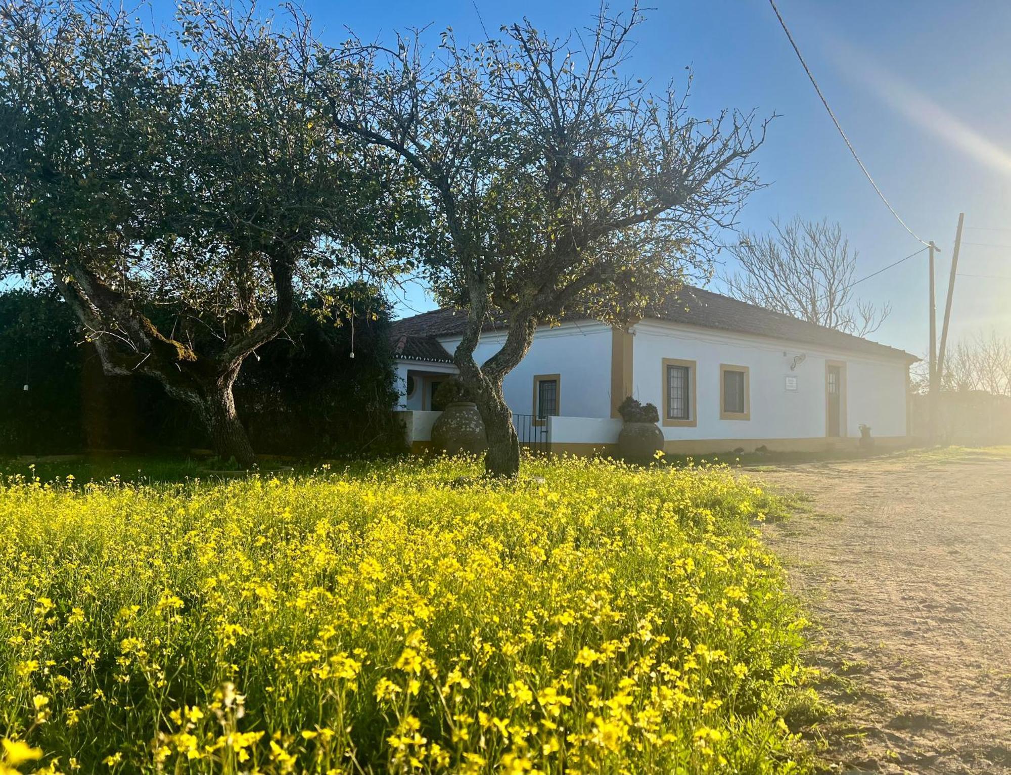 Qta Casa Seleiras - Guest House Evora Bagian luar foto